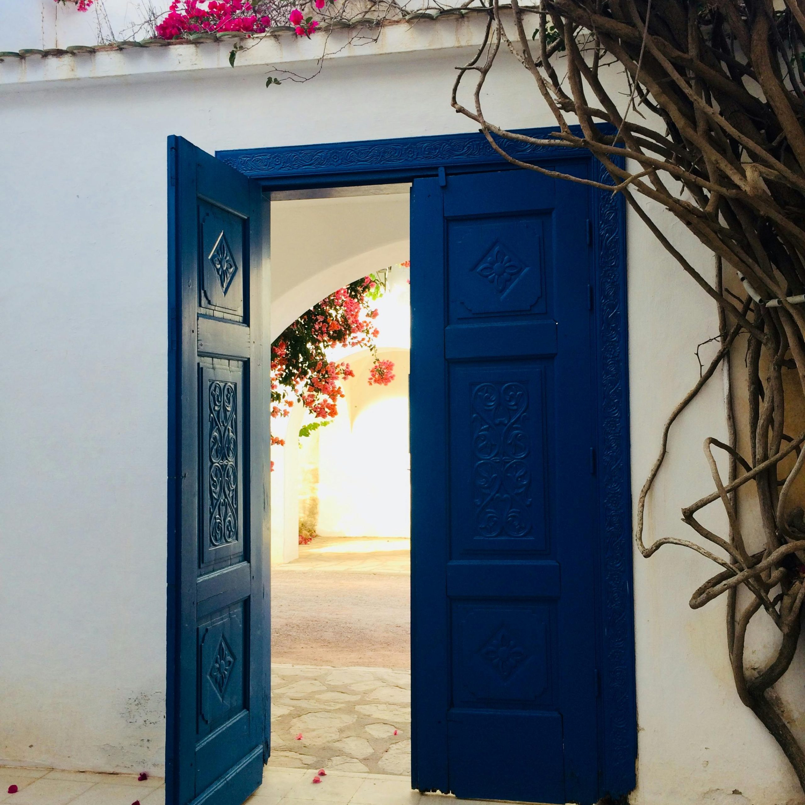 Dheyafa Tourisme